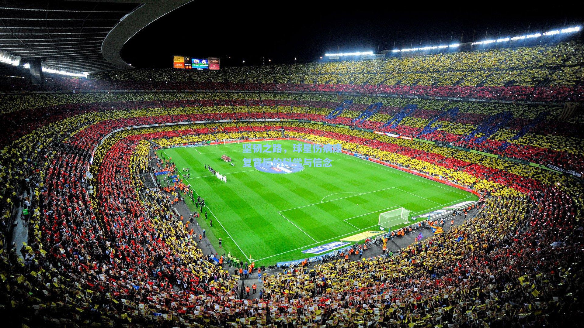 坚韧之路,球星伤病康复背后的科学与信念